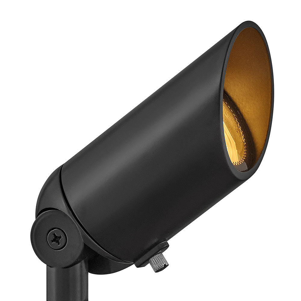 Hardy Island Accent Spot Light LED 4w MR16 In Dark Brass Finish