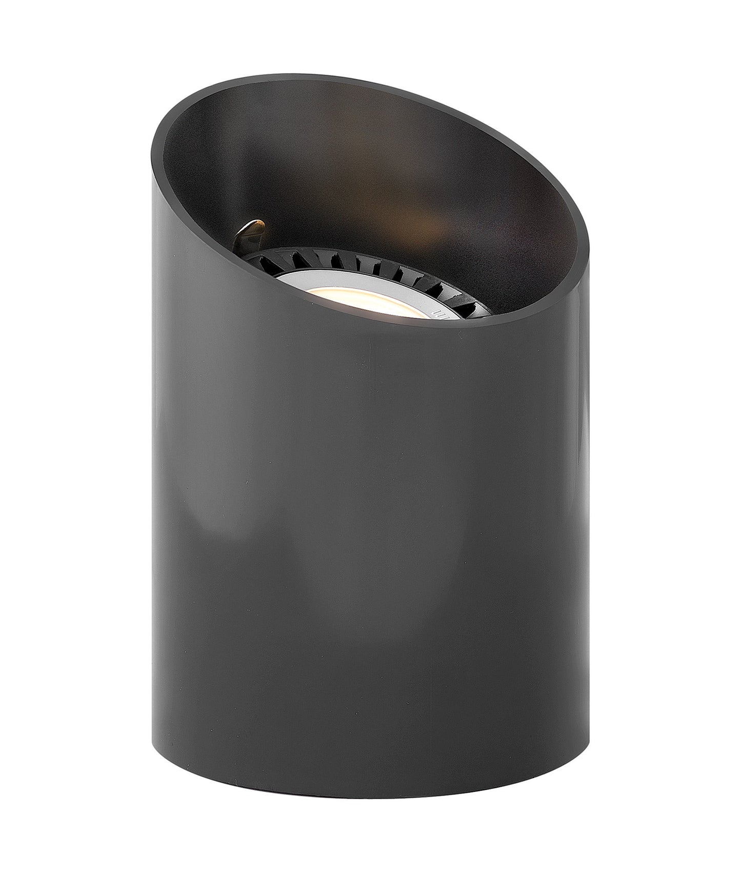 Well Light Par36 Reversible Well Light In Black Finish