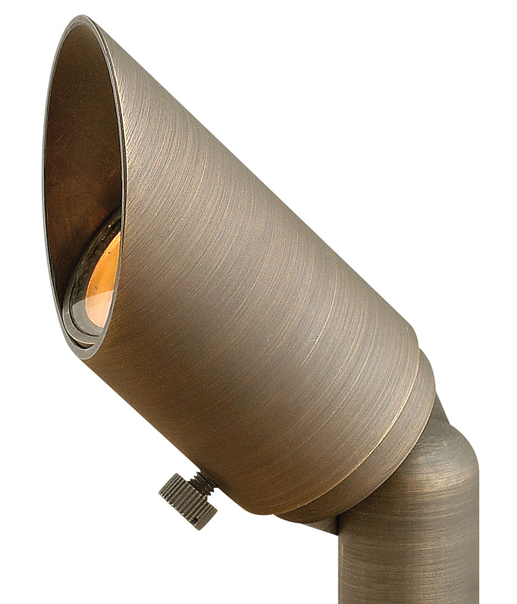 Hardy Island Accent Spot Light 12V MR8 LED 2.5w Small Spot In Light Bronze Finish