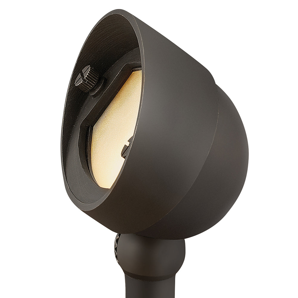 Hardy Island Accent Spot Light 12V Small LED 2.5w Wall Wash In Dark Brass Finish