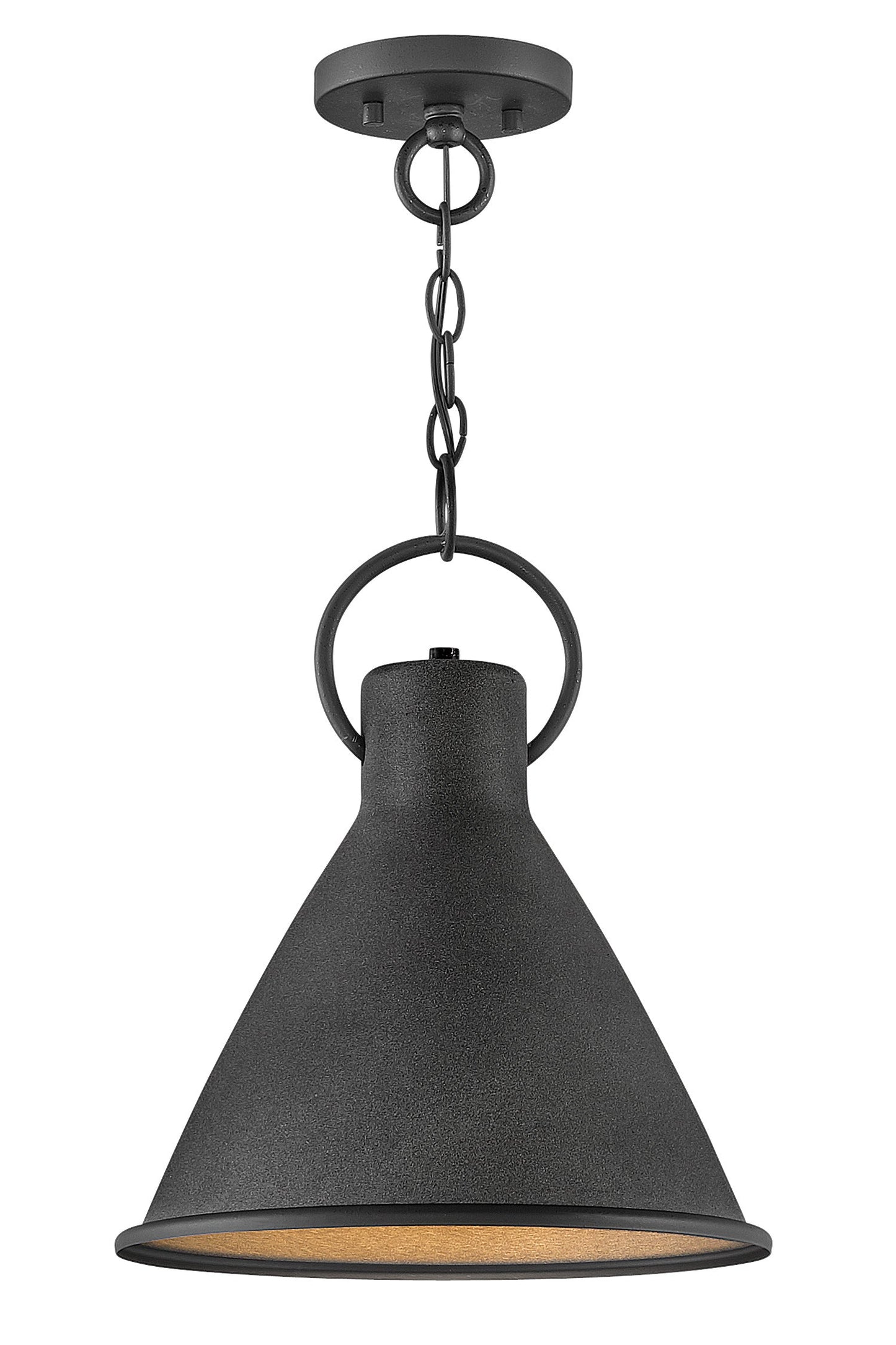 Winnie Medium Pendant In Black Finish