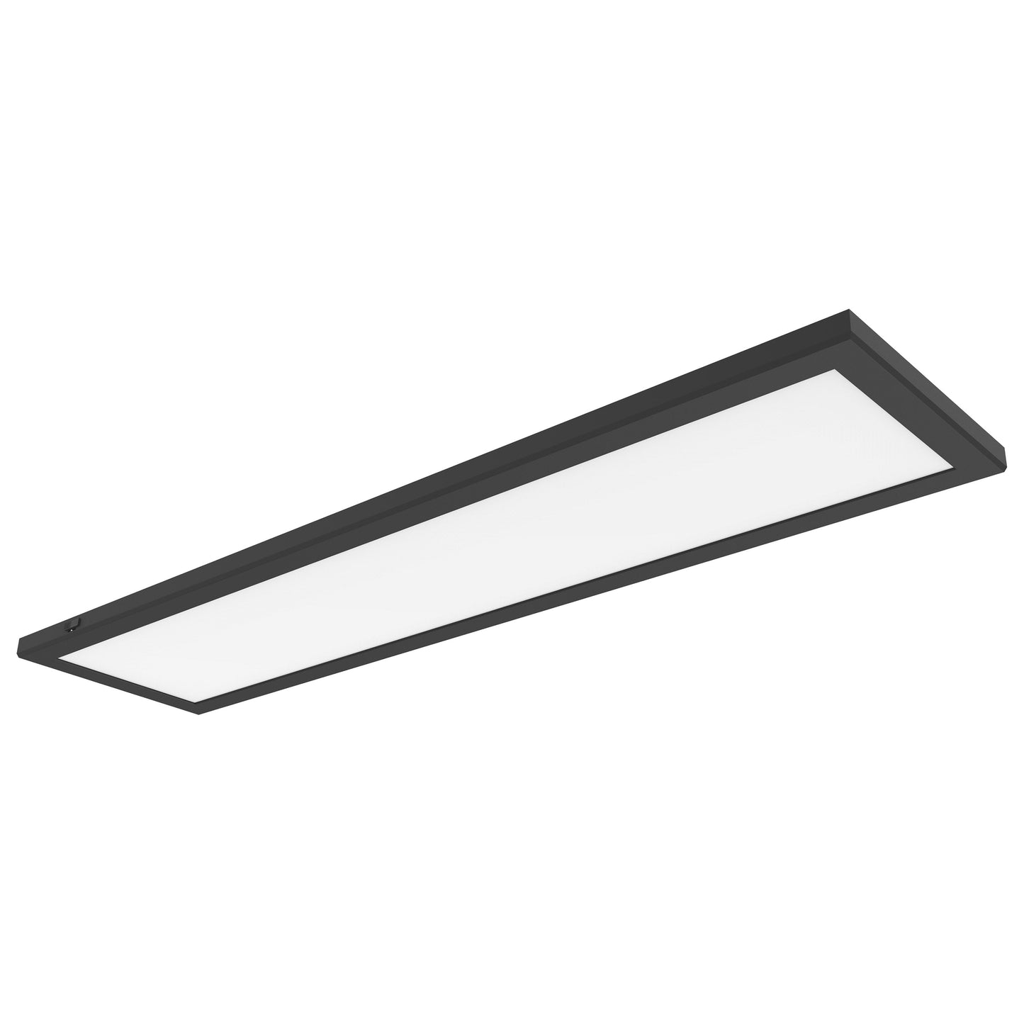 BLINK PRO PLUS 24W 1'X2'