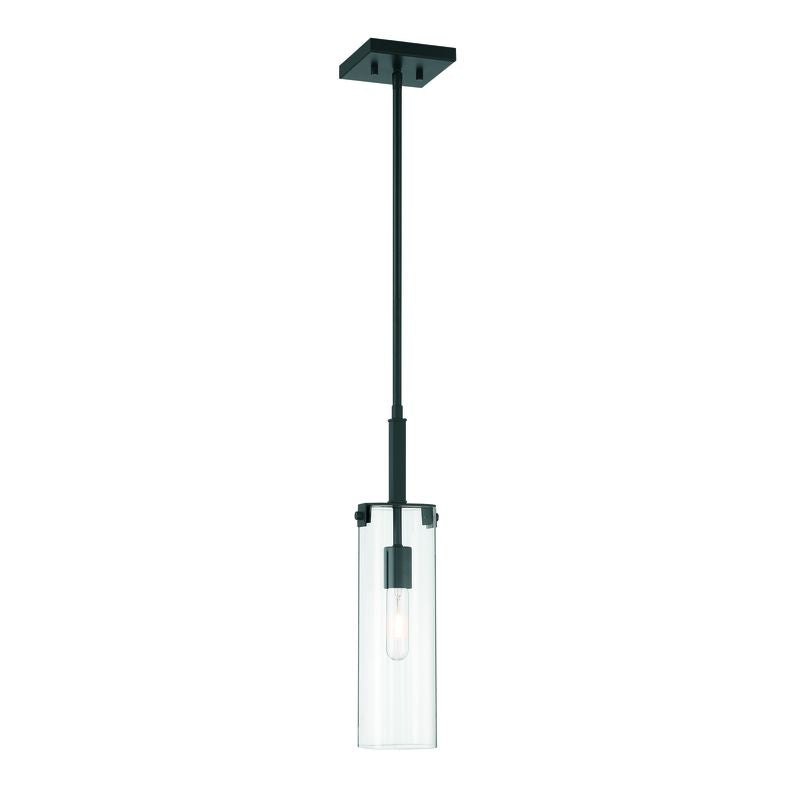 Winfield 1-Light Mini-Pendant in Matte Black Matte Black