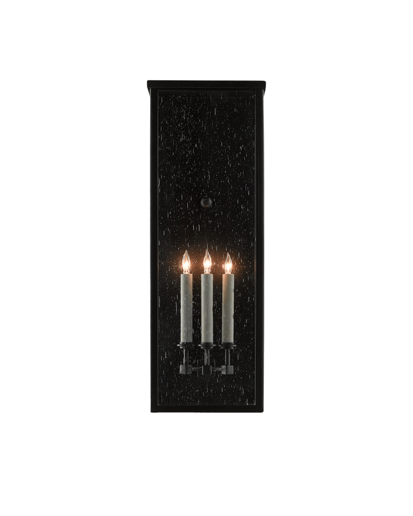 Tanzy Large Outdoor Wall Sconce
