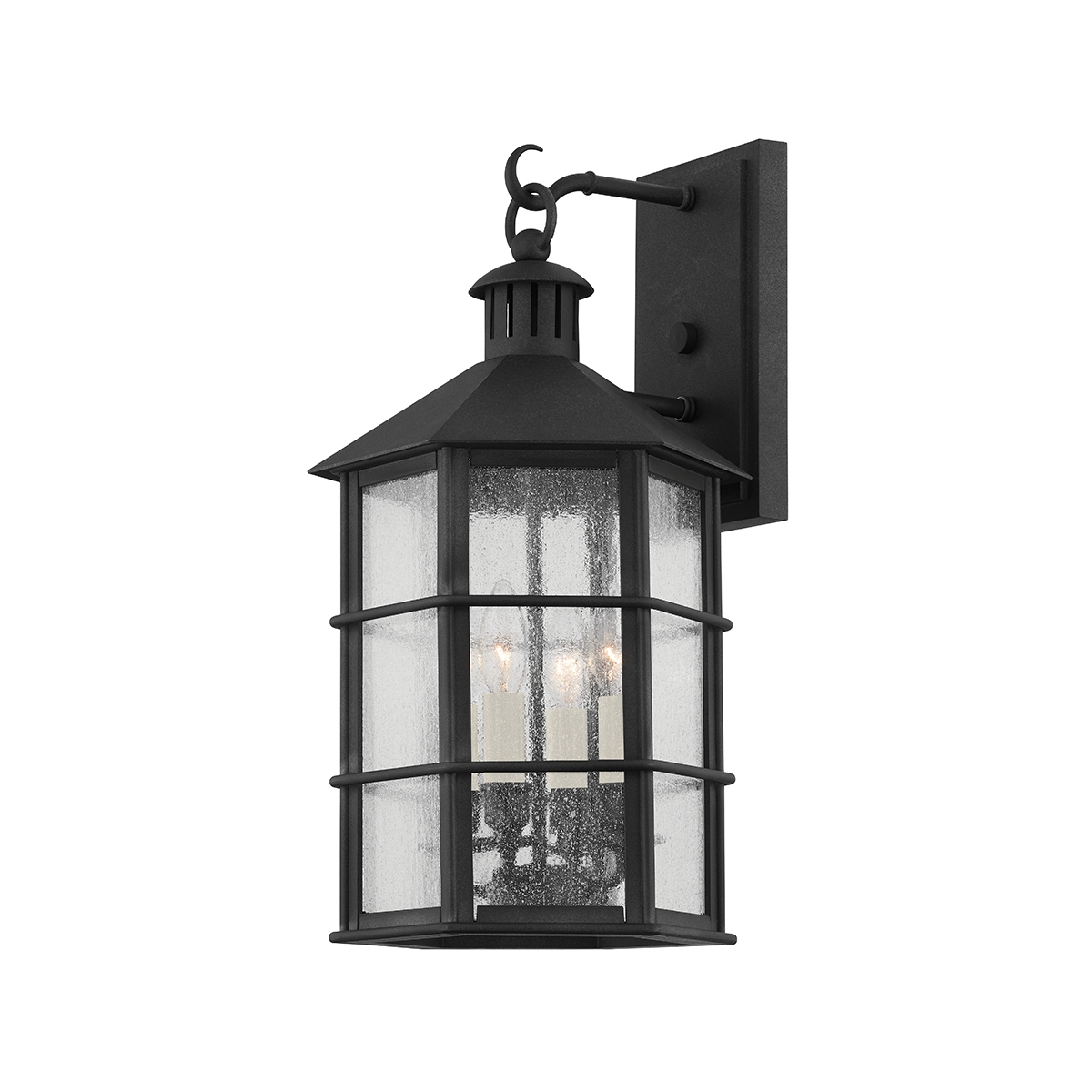 Lake County Wall Sconce with FRENCH IRON Finish