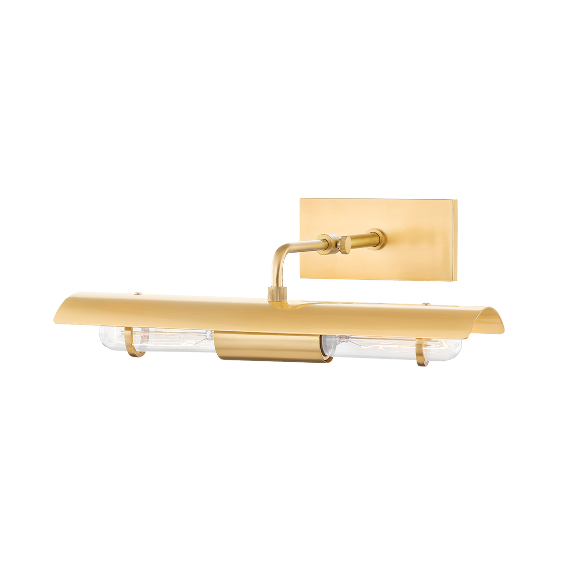 Raelynn Picture Light in Aged Brass Finish