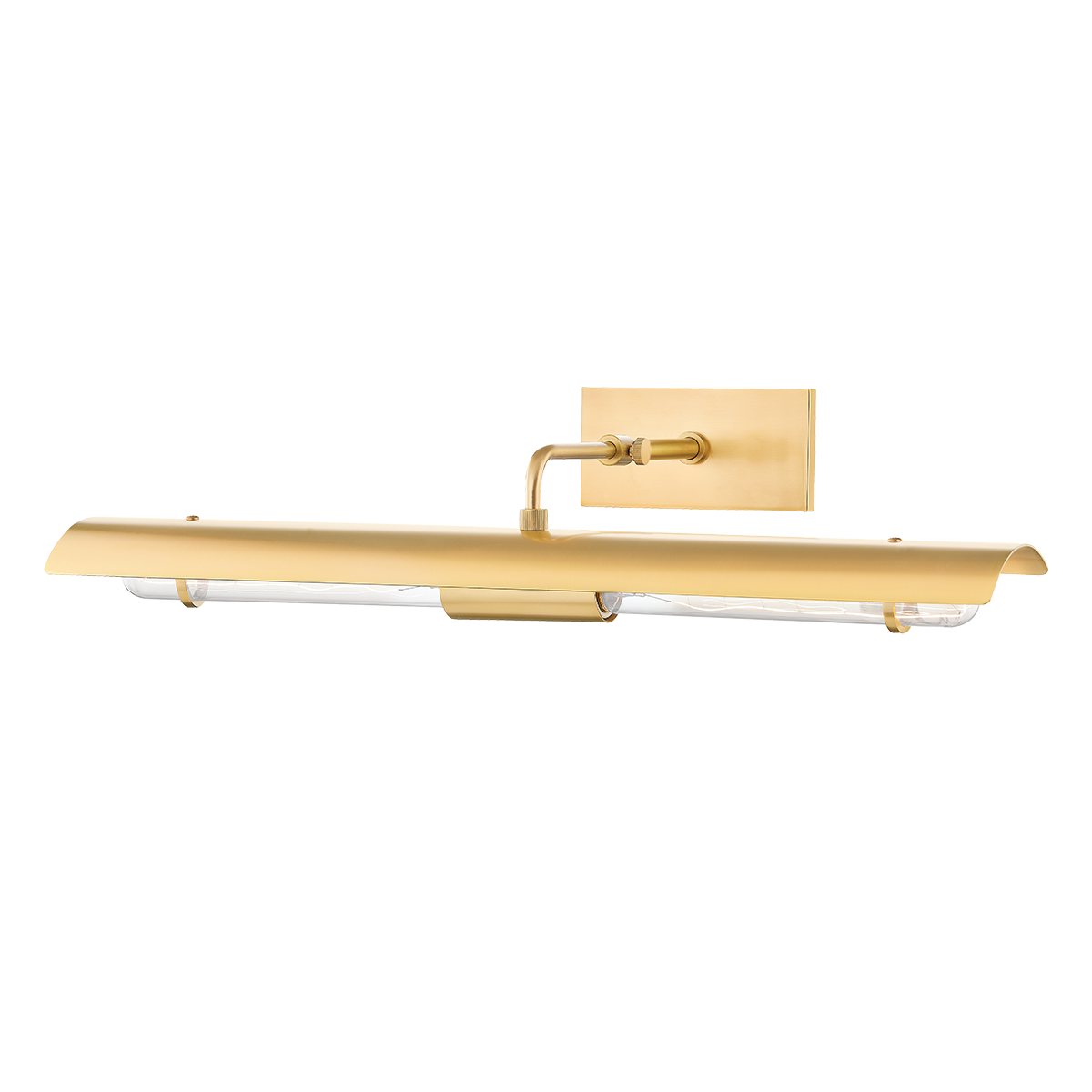 Raelynn Picture Light in Aged Brass Finish