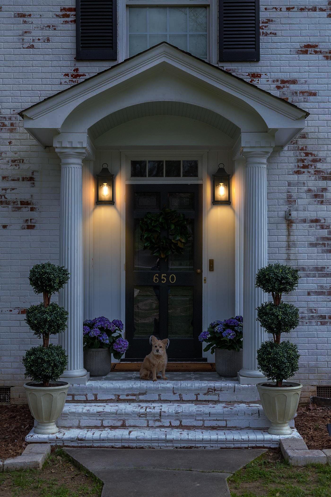 Shepard 6 inch Outdoor Wall Sconce in Black