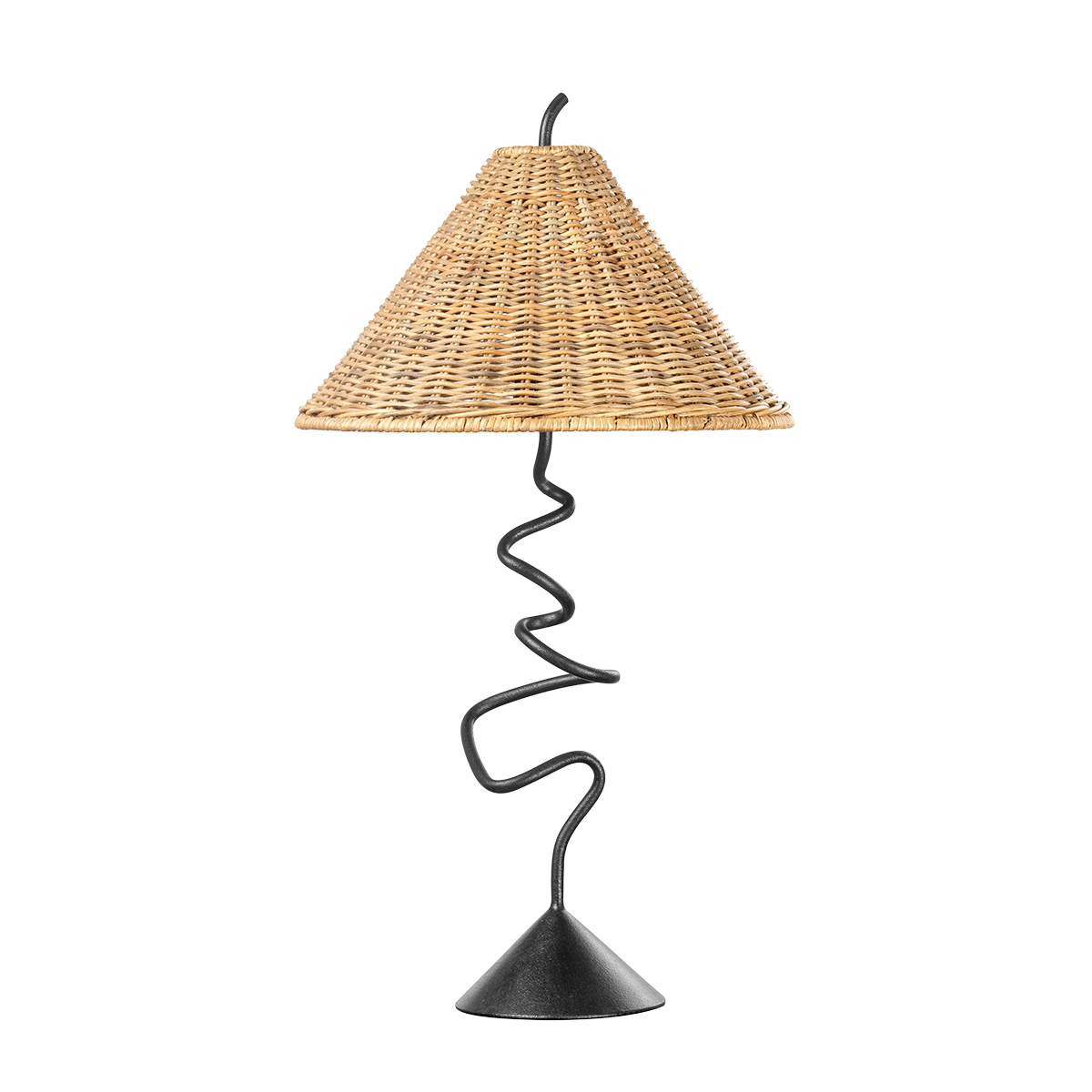 ALARIC Table Lamp with FORGED IRON Finish