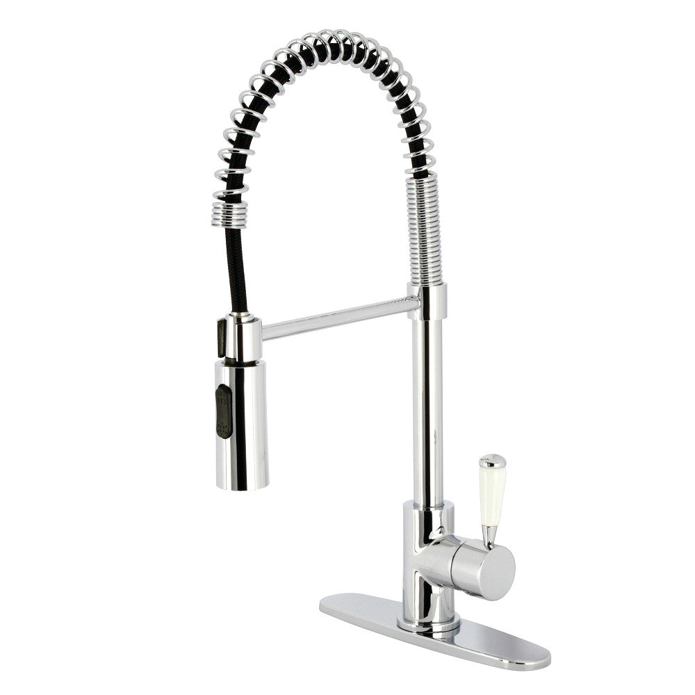 Paris Pre-Rinse Kitchen Faucet in Polished Chrome