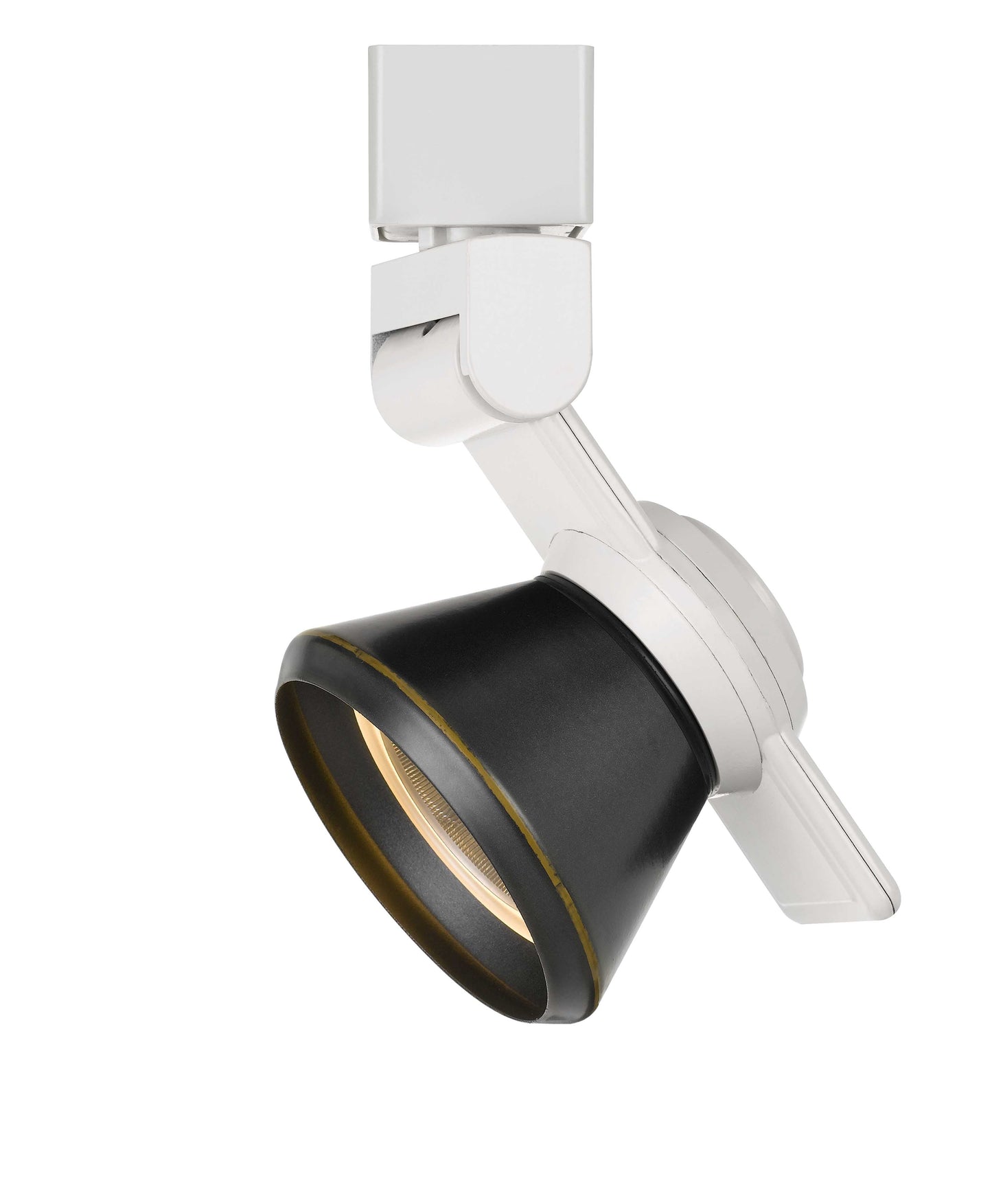 12W LED track fixture