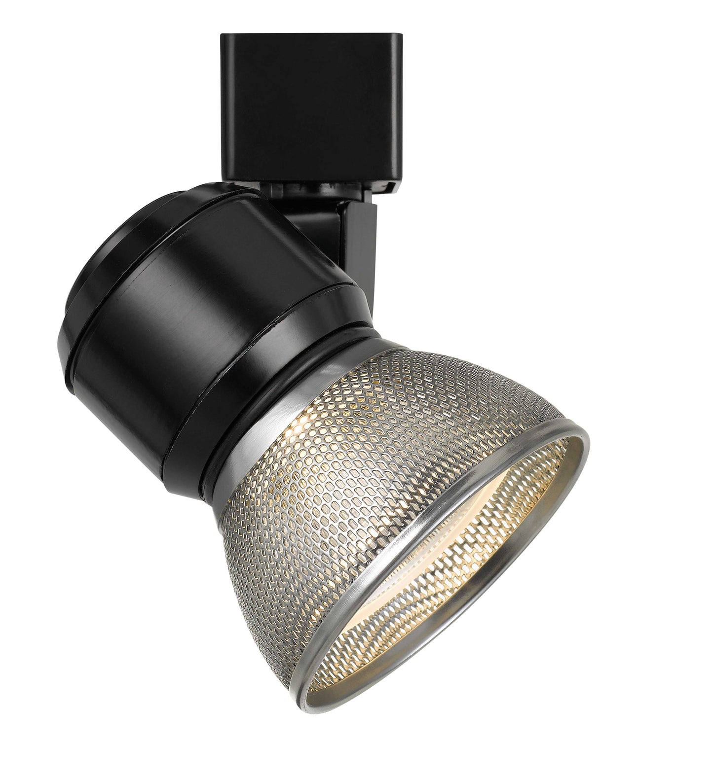 10W LED track fixture