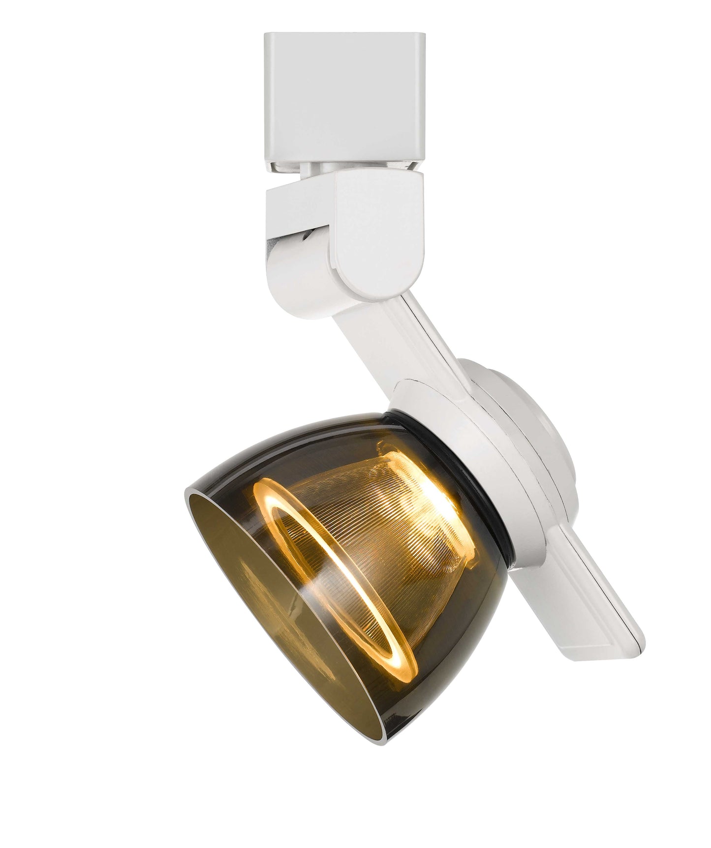 12W LED track fixture