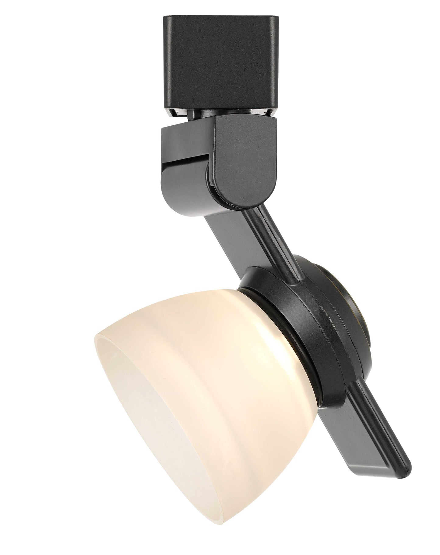 12W LED track fixture