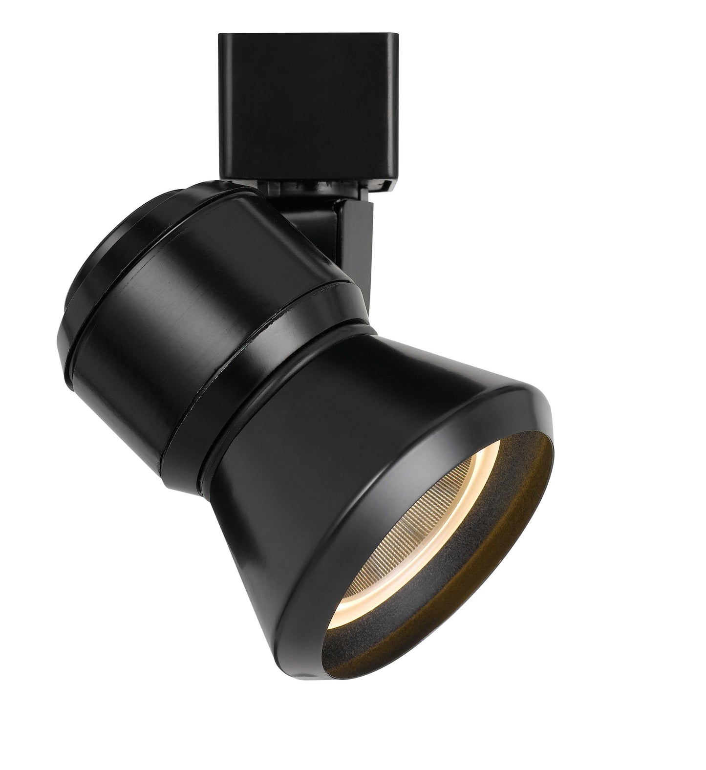 10W LED track fixture