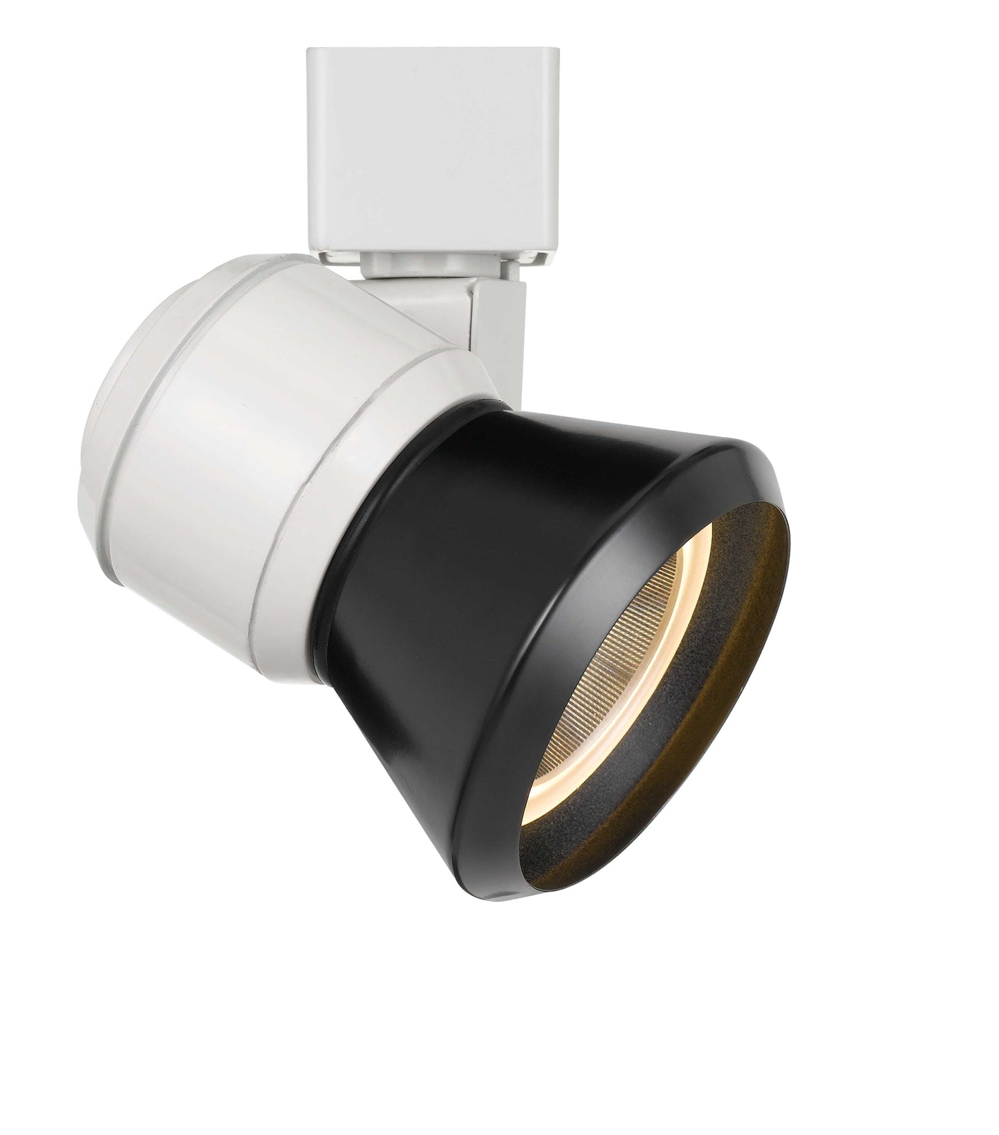 10W LED track fixture