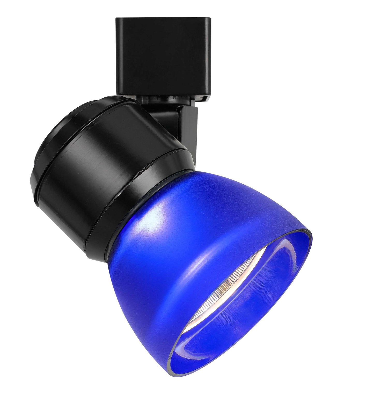 10W LED track fixture