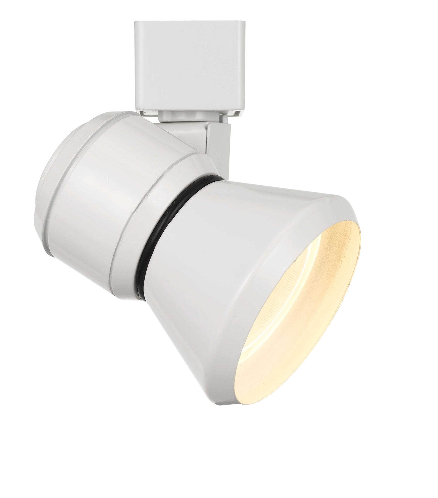 10W LED track fixture