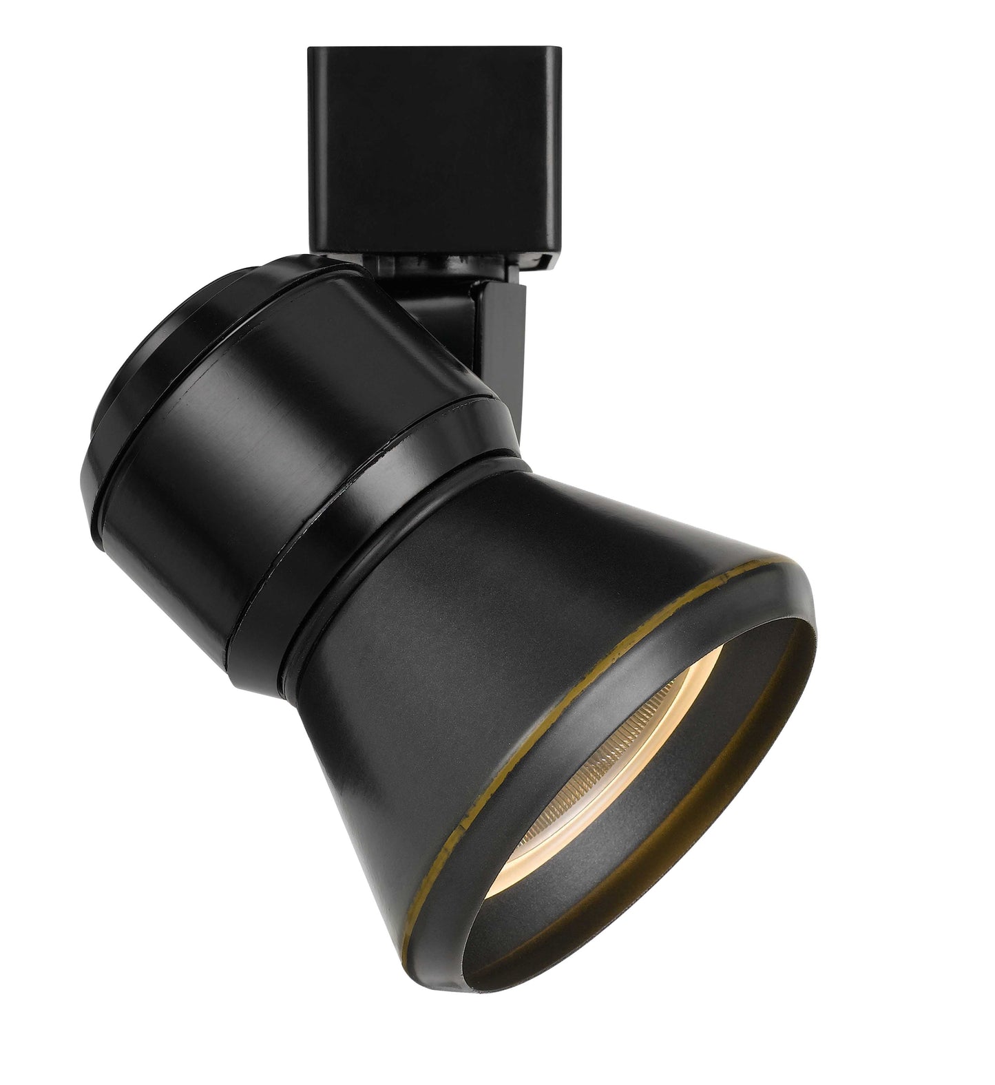 10W LED track fixture