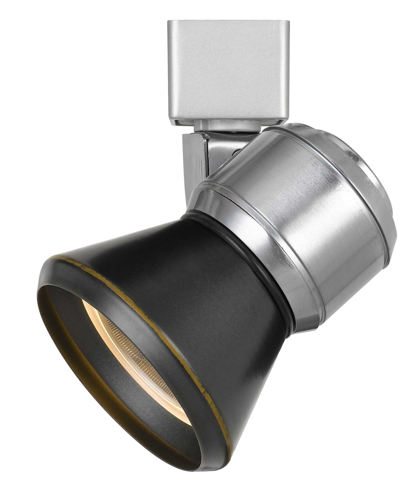 10W LED track fixture