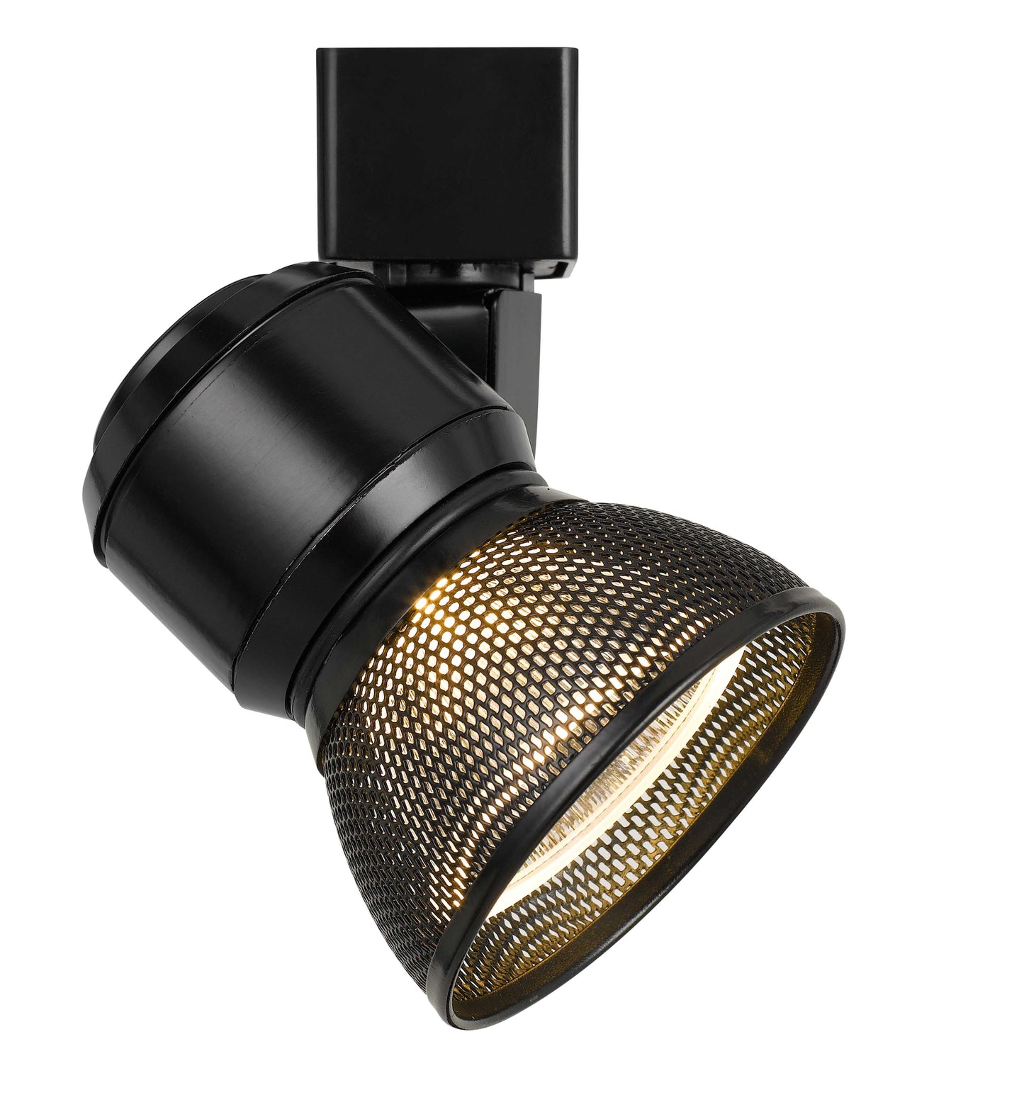 10W LED track fixture