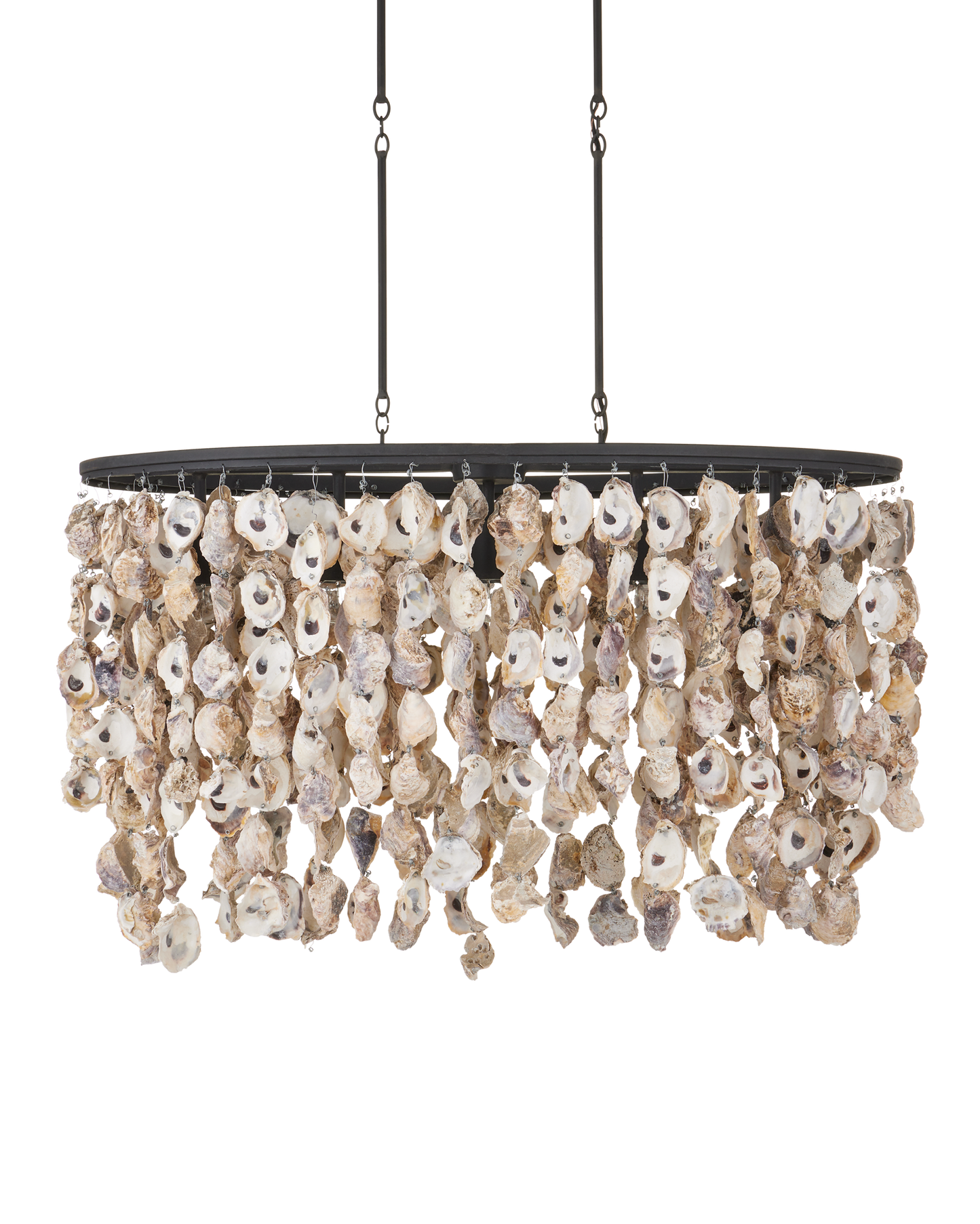 Stillwater Oyster Shell Oval Chandelier