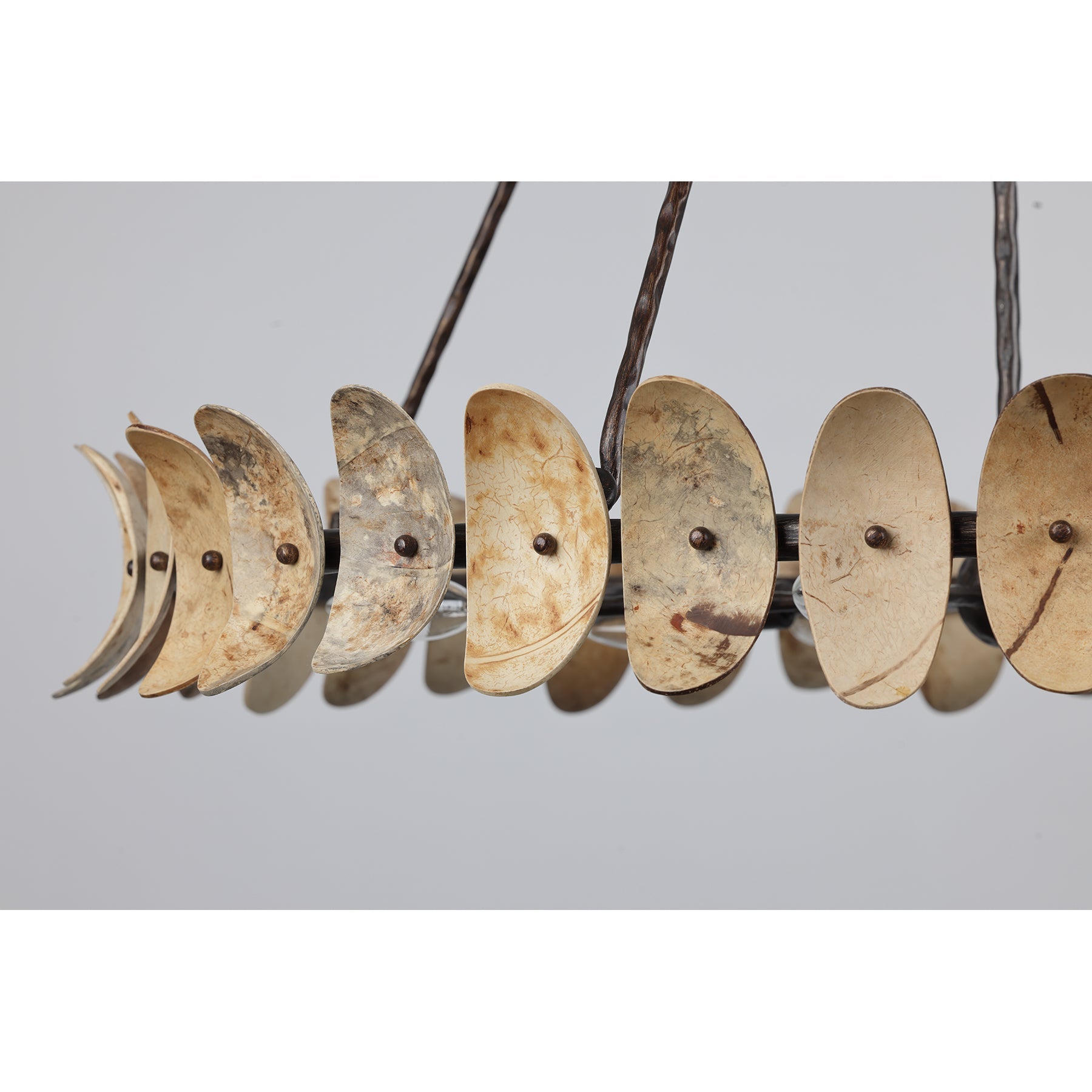 Monarch 8-Light Chandelier in Champagne Mist with Coconut Shell by Breegan Jane