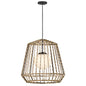 Arlen Large Hanging Pendant In Black Finish