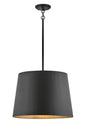 Alder Large Hanging Pendant In Black Finish