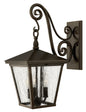 Trellis Medium Wall Mount Lantern In Dark Bronze Finish