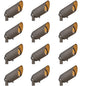 Hardy Island Accent Spot Light 12V MR16 Spotlight - 12 Pack In Light Bronze Finish