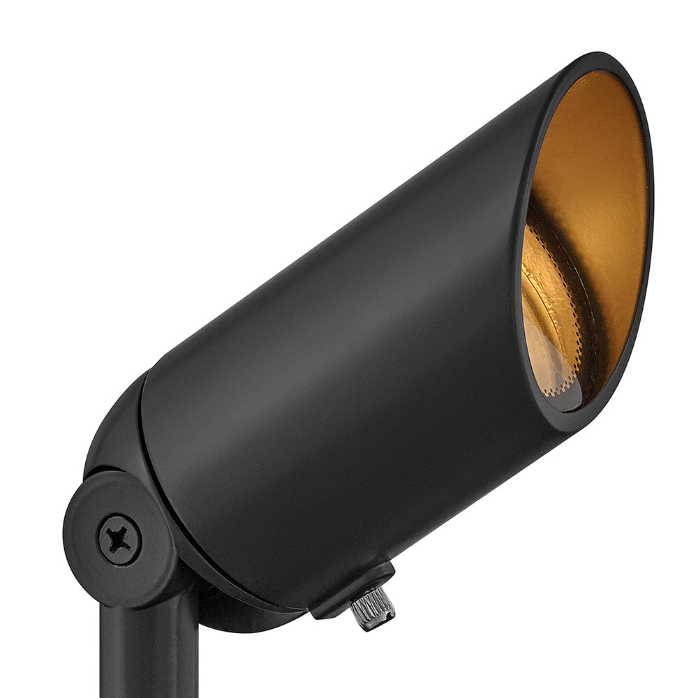 Accent Spot Light 12V MR16 In Black Finish