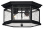 Edgewater Small Flush Mount In Black Finish