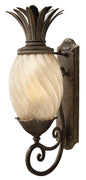 Plantation Large Wall Mount Lantern In Light Bronze Finish