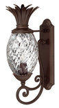 Plantation Large Wall Mount Lantern In Dark Bronze Finish