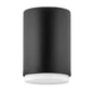 Cedric Extra Small Flush Mount In Black Finish