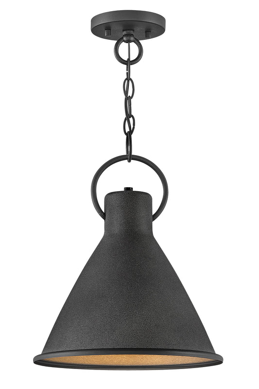 Winnie Medium Pendant In Black Finish