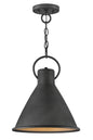 Winnie Medium Pendant In Black Finish