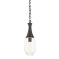 Southold Pendant with Black Brass Finish