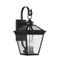 Ellijay 3-Light Outdoor Wall Lantern in Black Black