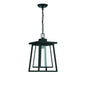 Denver 1-Light Outdoor Hanging Lantern in Matte Black Matte Black