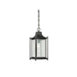 Dunnmore 1-Light Outdoor Hanging Lantern in Black Black