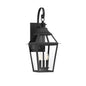 Jackson 3-Light Outdoor Wall Lantern in Matte Black with Gold Highlights Black with Gold Highlights