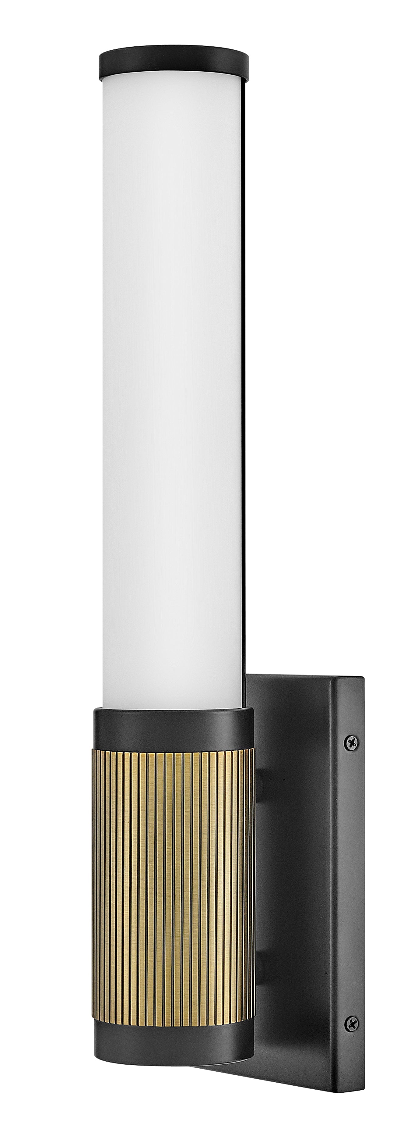 Zevi Medium LED Sconce In Black Finish