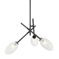 Alberton Chandelier with Black Brass Finish