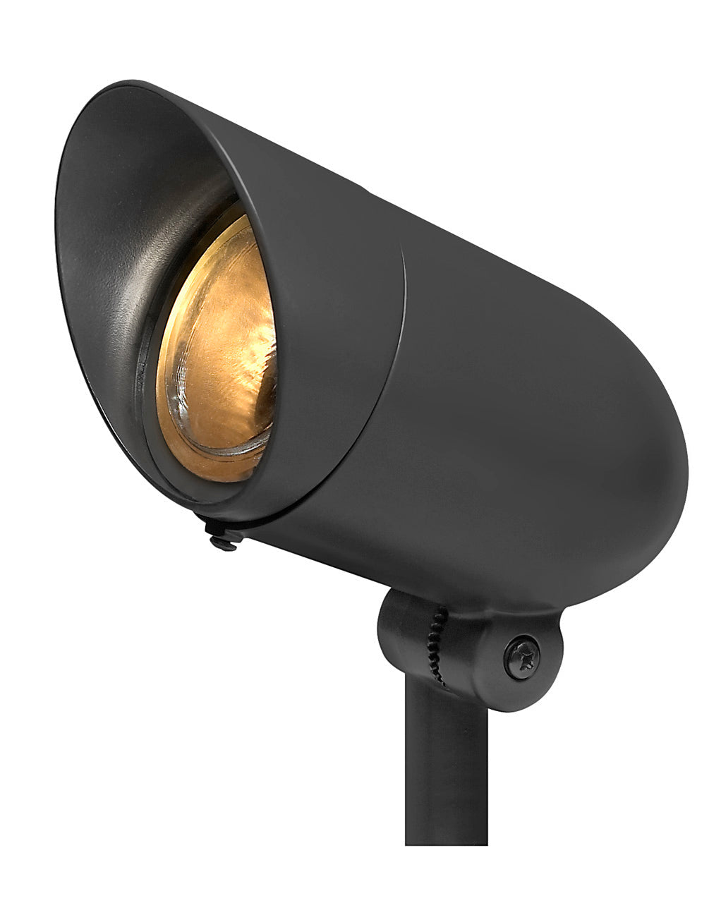 Accent Spot Light Small 120v Spot Light In Black Finish