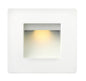 Luna LED 2700K Step Light 120v Horizontal Double Gang In White Finish