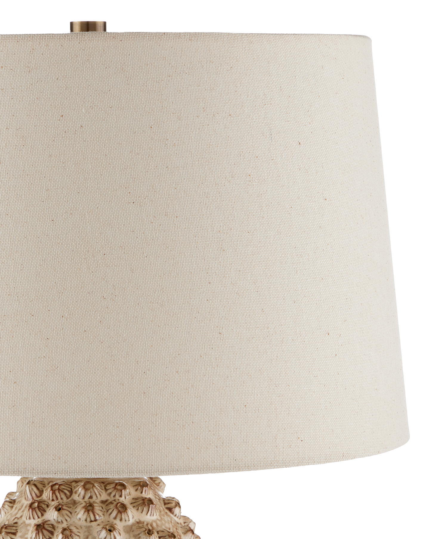 Barnacle Ivory Table Lamp