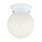 1-Light Ceiling Light in White White
