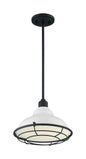 NEWBRIDGE 1LT SMALL PENDANT